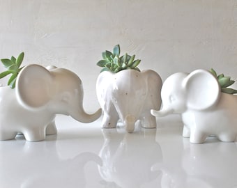 Elephant decor